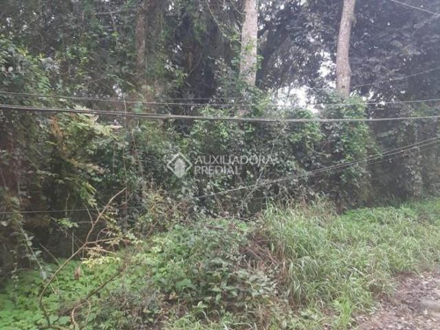 Terreno venda em Região Geográfica Imediata de Porto Alegre, Região Metropolitana de Porto Alegre