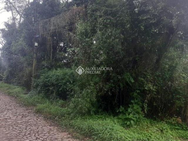 Terreno venda em Cinturão Azul, Viamão