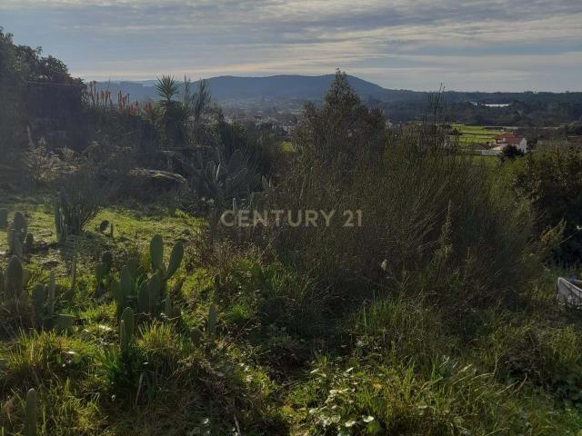 Terreno venda em Viana Do Castelo