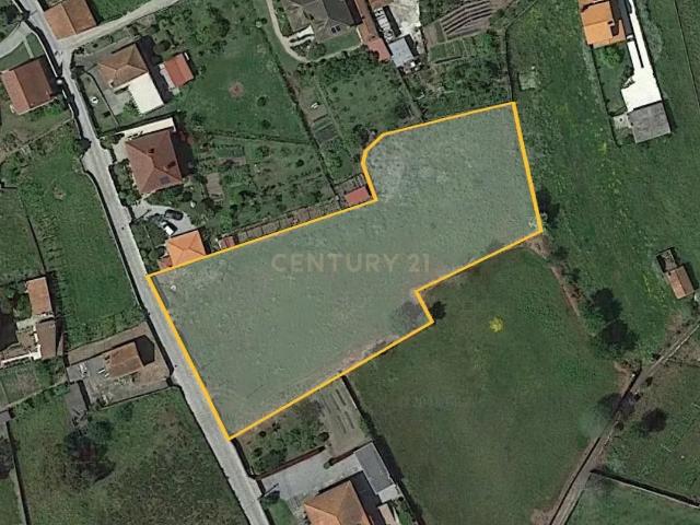 Terreno venda em Viana Do Castelo