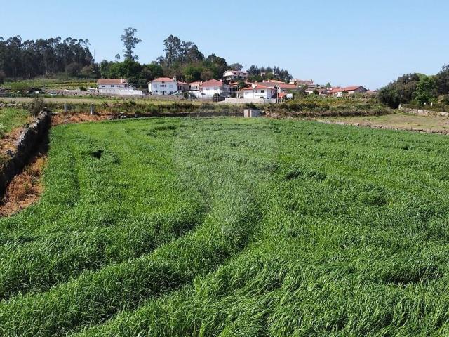 Terreno venda em Viatodos, Grimancelos, Minhotães e Monte de Fralães, Barcelos