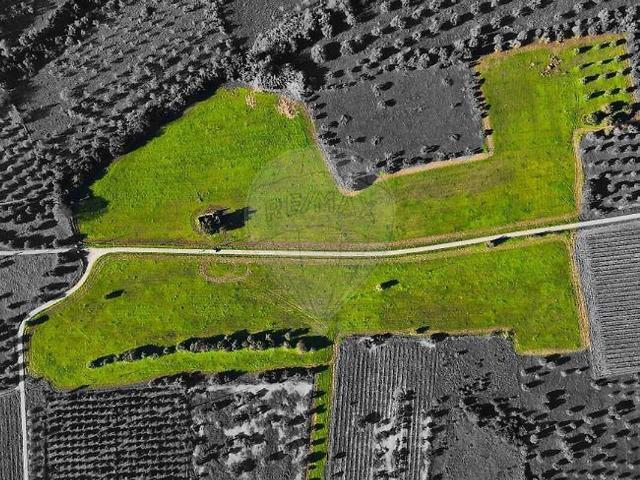 Terreno venda em Vidigueira