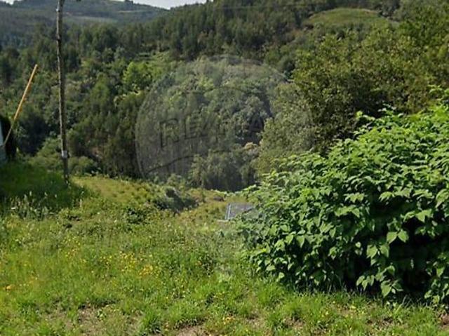 Terreno venda em Real de Baixo, Parada Do Bouro