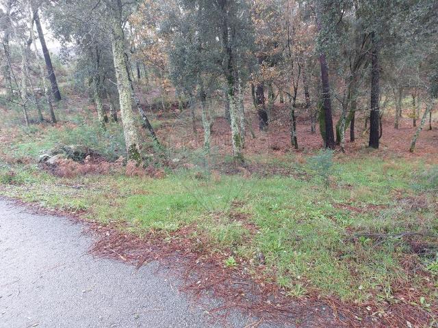 Terreno venda em Parada Do Bouro, Braga