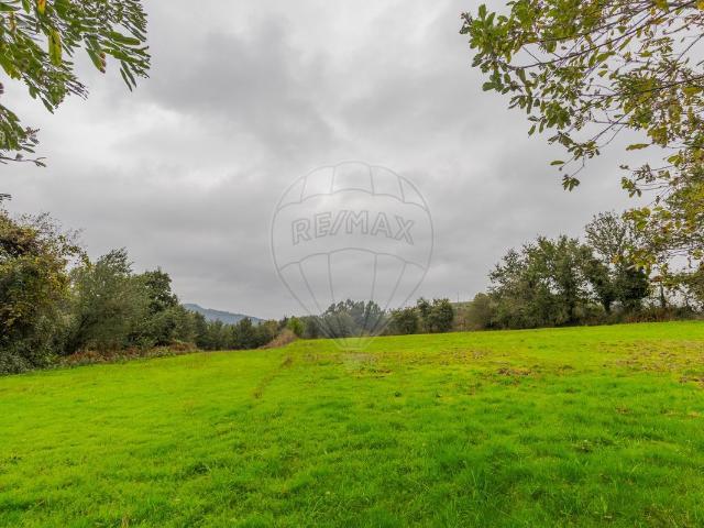 Terreno venda em Parada Do Bouro, Braga