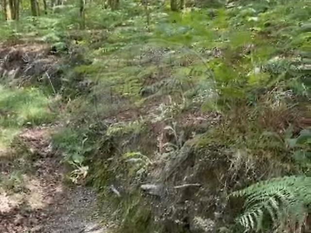 Terreno venda em Cantelães, Vieira do Minho