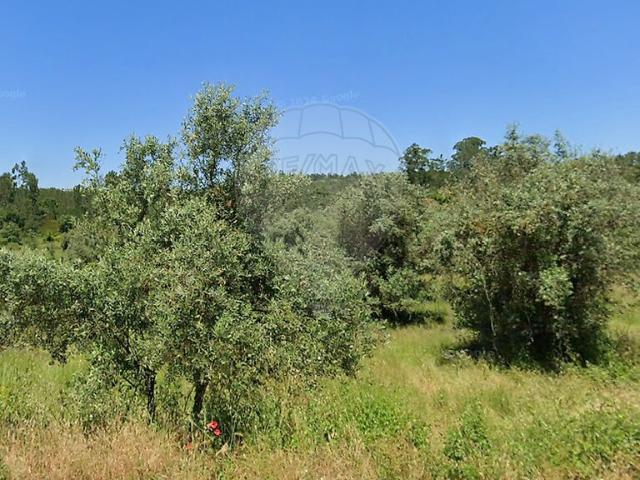 Terreno venda em Vila Cã, Pombal
