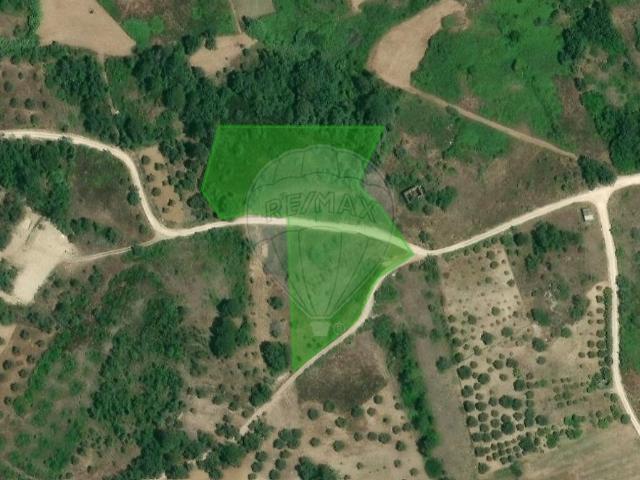 Terreno venda em Vila Cã, Pombal