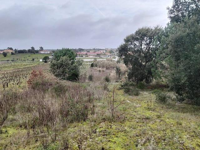 Terreno venda em Vila Chã de Ourique, Cartaxo