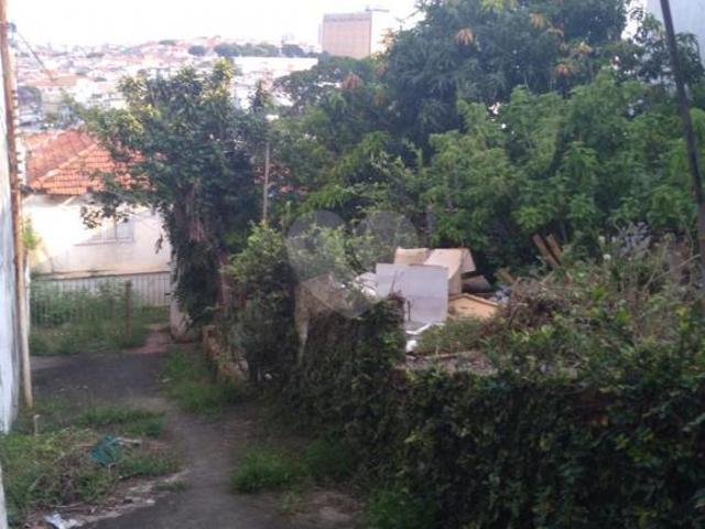 Terreno venda em Jardim Modelo, São Paulo