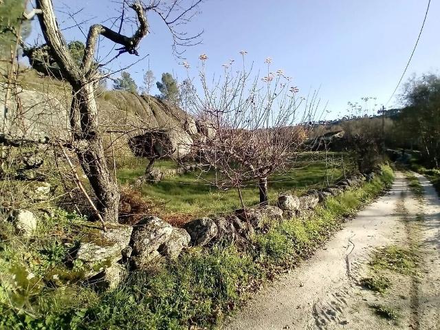 Terreno venda em Vila da Ponte, Viseu