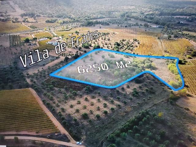 Terreno venda em Vila de Frades, Vidigueira
