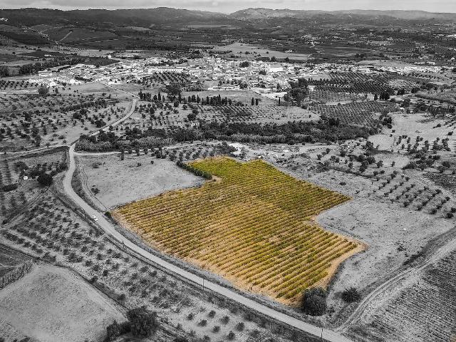 Terreno venda em Selmes, Vidigueira