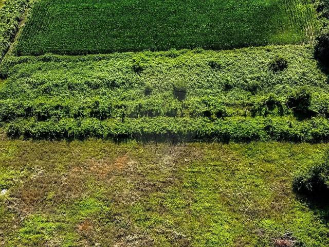 Terreno venda em Vila de Punhe, Viana do Castelo