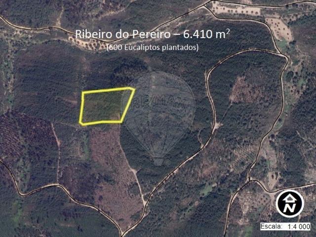 Terreno venda em Castelo Branco, Vila De Rei