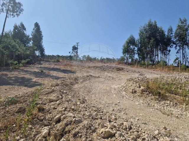 Terreno venda em Castelo Branco, Vila De Rei