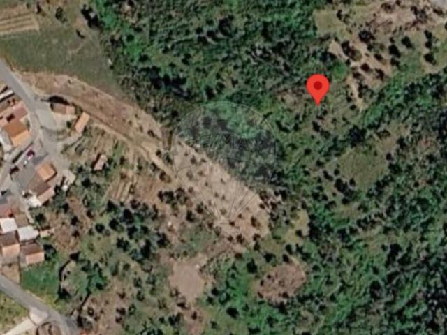 Terreno alugar em Vila de Rei