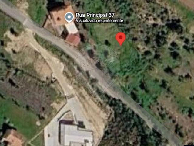 Terreno alugar em Vila de Rei