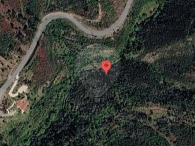Terreno alugar em Vila de Rei