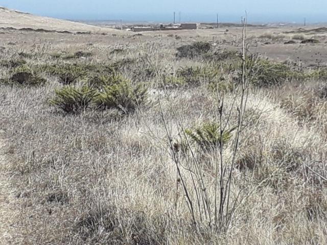 Terreno venda em Vila do Bispo e Raposeira, Vila do Bispo
