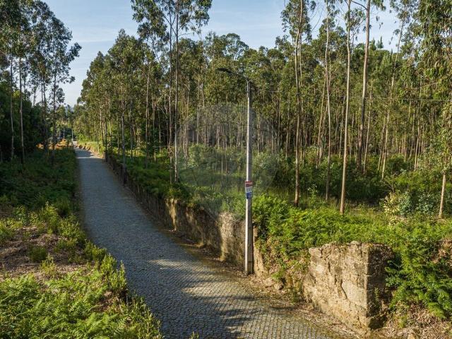 Terreno venda em Vila Do Conde, Porto