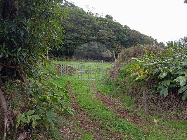 Terreno venda em Açores, Ilha De Santa Maria