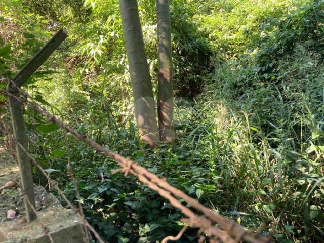 Terreno venda em Horto Florestal, São Paulo
