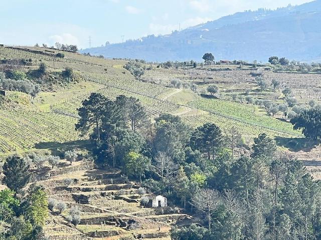 Terreno venda em Outeiro de Baixo, Mesão Frio
