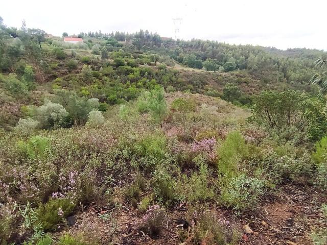 Terreno venda em Limeiras, Praia Do Ribatejo