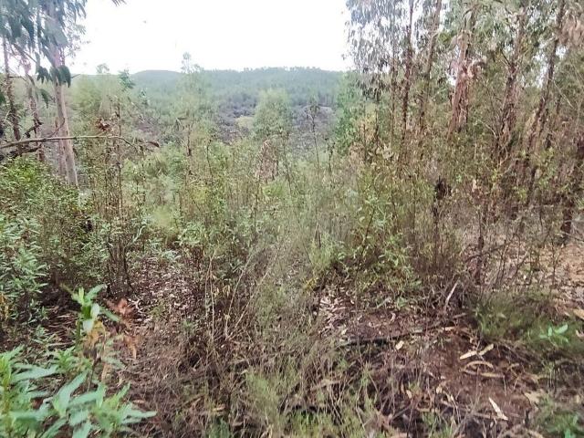 Terreno venda em Limeiras, Praia Do Ribatejo