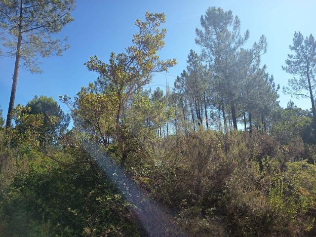 Terreno venda em Atalaia