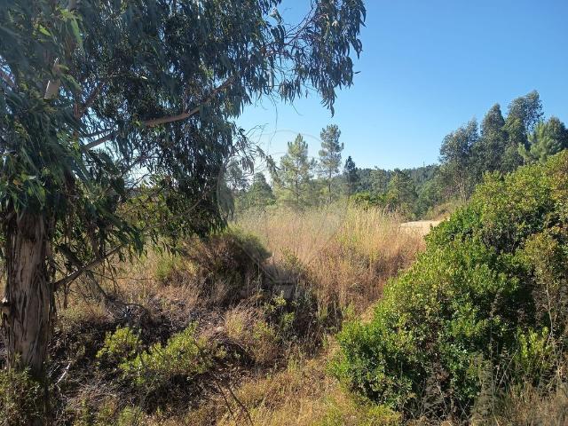 Terreno venda em Atalaia