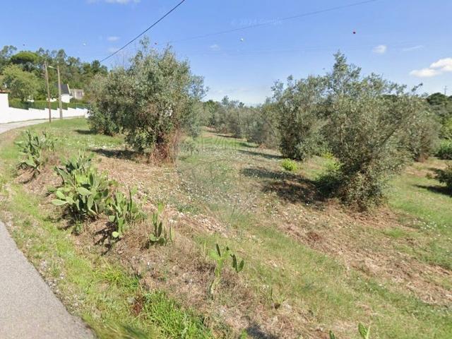 Terreno venda em Praia Do Ribatejo, Santarém
