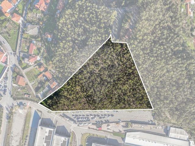 Terreno venda em Oliveira (Santa Maria), Gavião