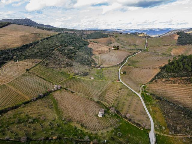 Terreno venda em Guarda, Mós