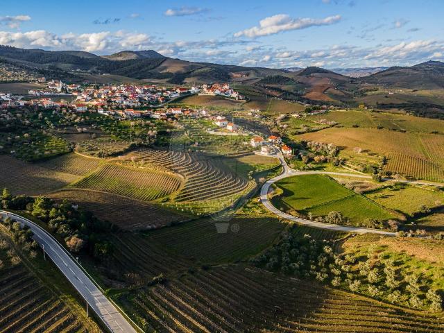 Terreno venda em Guarda, Mós