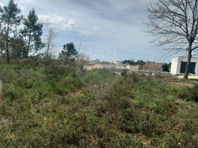 Terreno venda em Vila Nova De Paiva, Viseu