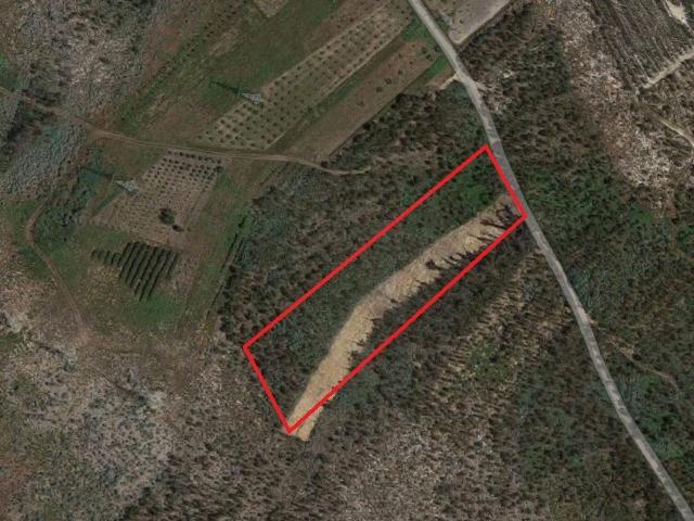 Terreno venda em Vila Nova De Poiares, Coimbra