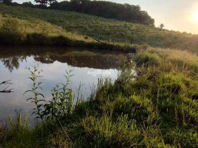Terreno venda em Região Geográfica Imediata de Caxias do Sul, Caxias do Sul