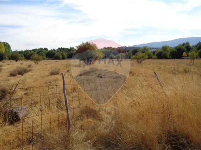 Terreno venda em Afonsim, Vila Real