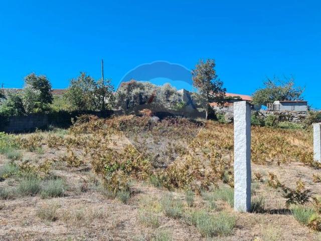 Terreno venda em Afonsim, Vila Real
