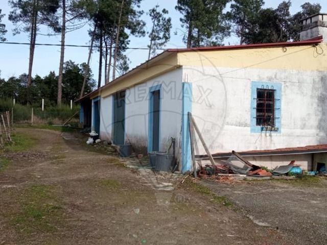 Terreno venda em Vila Real