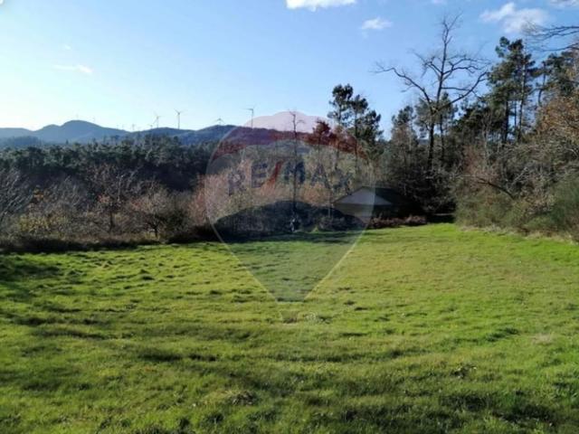 Terreno venda em Vila Real
