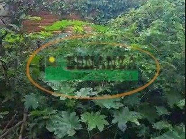 Terreno venda em São Paulo, Belo Horizonte
