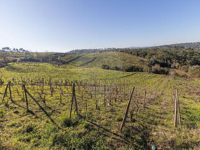 Terreno venda em Condeixa-a-nova, Coimbra