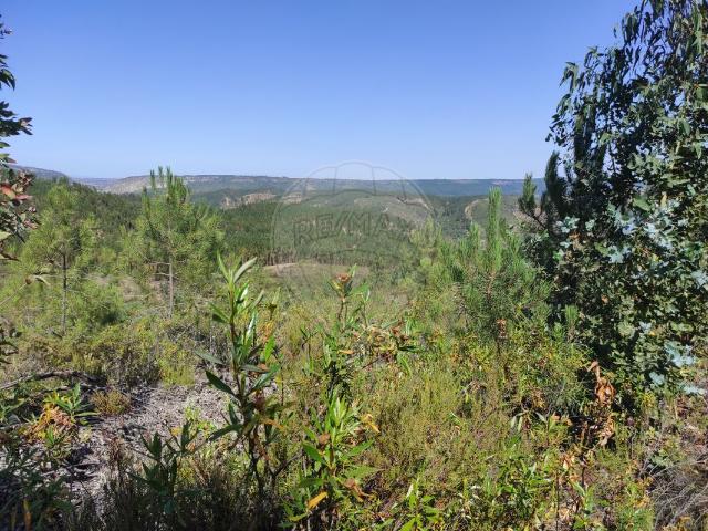 Terreno venda em Castelo Branco, Vila Velha De Ródão