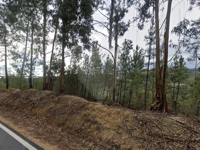 Terreno venda em Castelo Branco, Vila Velha De Ródão