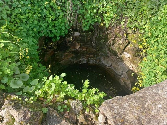 Terreno venda em Castelo Branco, Vila Velha De Ródão