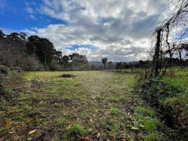 Terreno venda em Ribeira do Neiva, Vila Verde