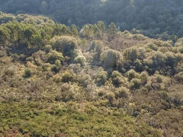 Terreno venda em Ribeira do Neiva, Vila Verde